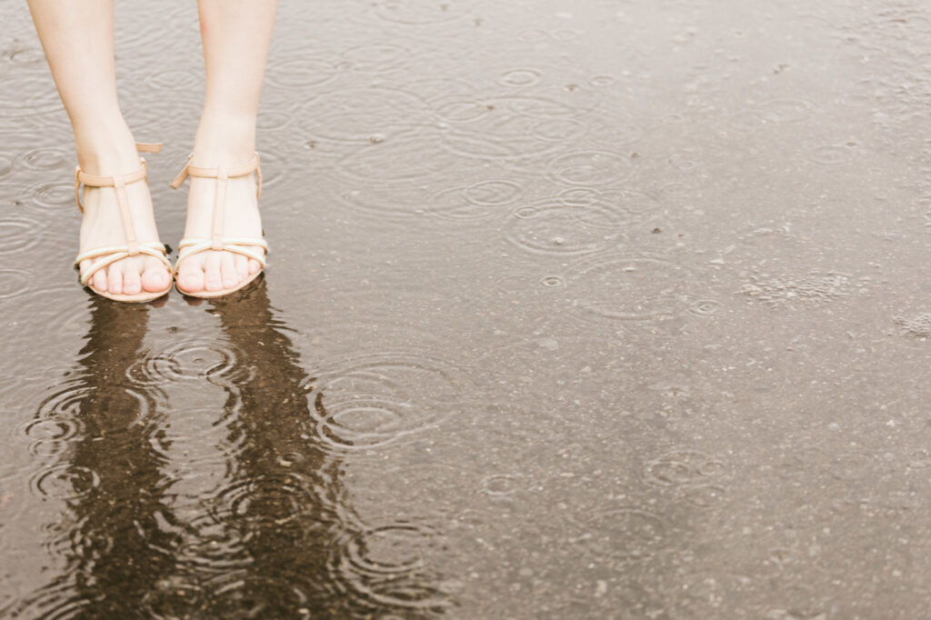 「梅雨をレンタカー」で楽しむ