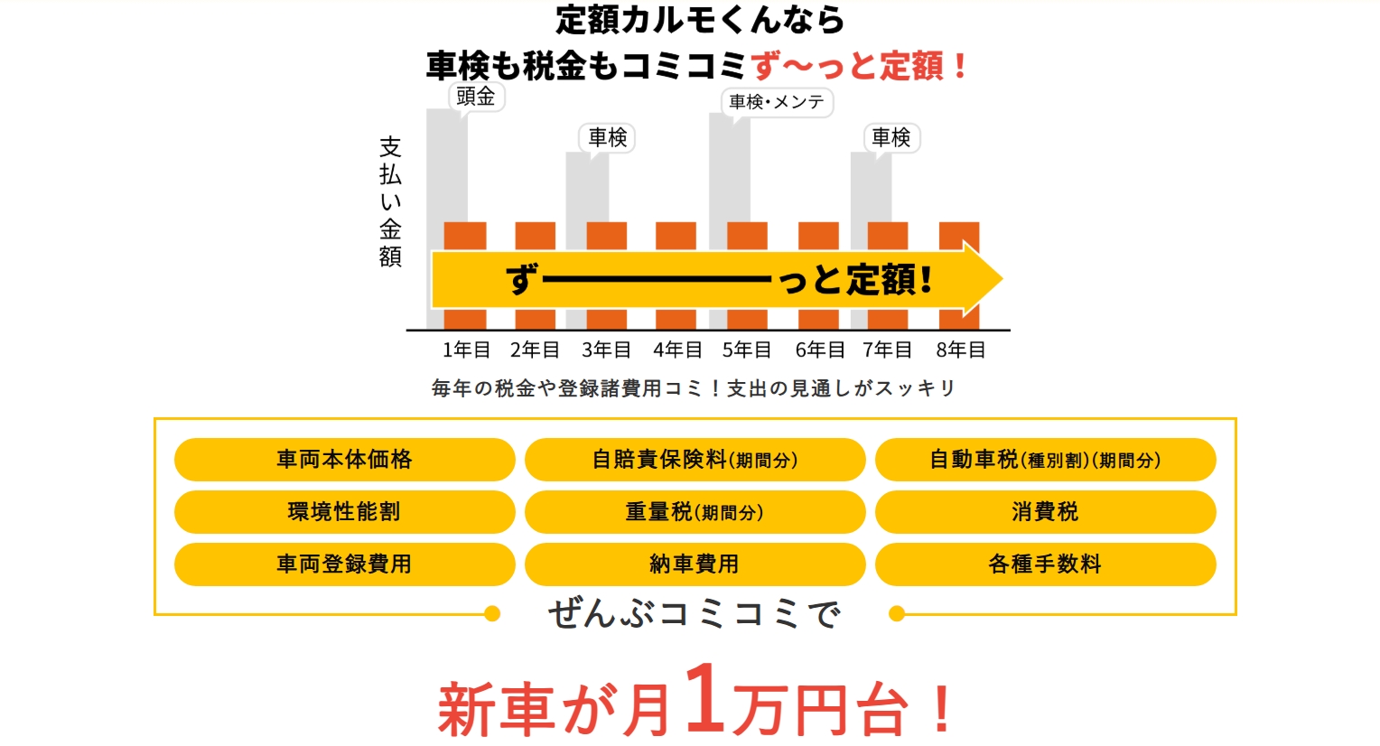 定額カルモくん