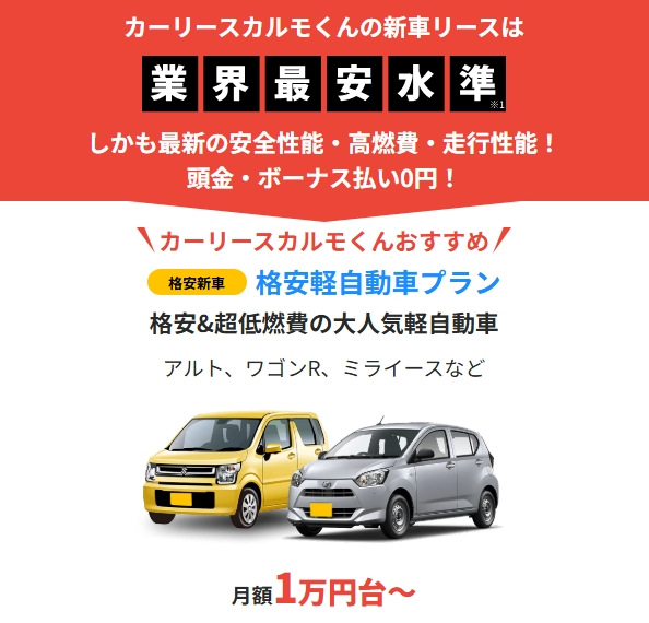 定額カルモ君